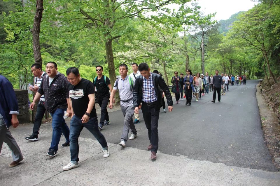 1498102511477478.jpg 1498102511477478.jpg