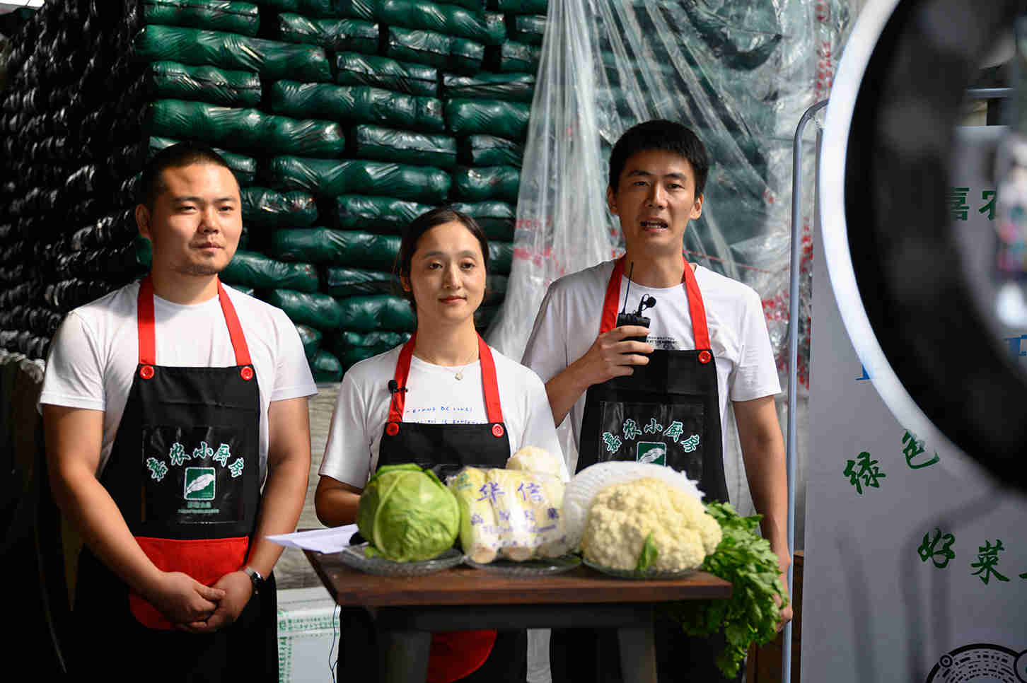 1630478180275311.jpg 1630478180275311.jpg