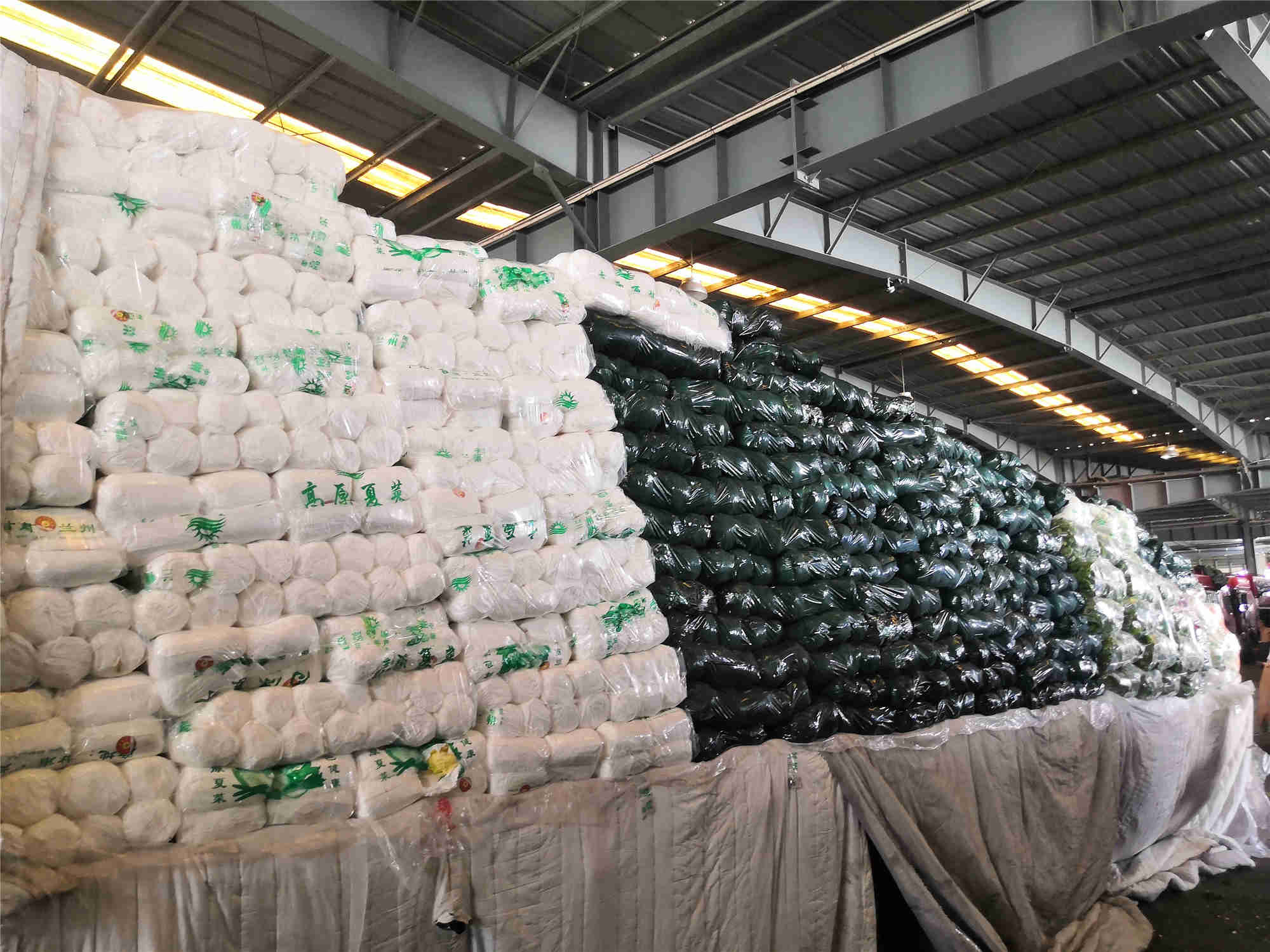 1630478337383086.jpg 1630478337383086.jpg