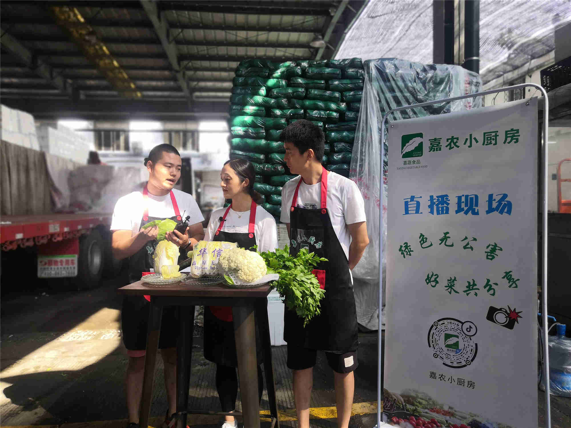 1630478423422102.jpg 1630478423422102.jpg